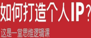 如何打造个人IP？这是一堂思维逻辑课“我该如何打造我的个人IP？”-淘淘网