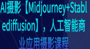 AI摄影【Midjourney+Stablediffusion】，人工智能商业应用摄影课程-淘淘网