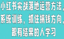 小红书实战落地运营方法，系统训练，抓住搞钱方向，跟有结果的人学习-淘淘网