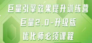 巨量引擎·效果提升训练营：巨量2.0-升级版，优化师必须课程（111节课）-淘淘网