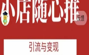 老陈随心推助力新老号，引流与变现，零基础玩转投放-淘淘网