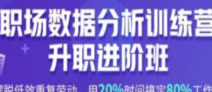 数据分析-环球青藤-数据分析师就业训练营-淘淘网