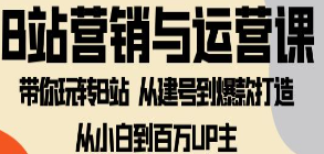 B站营销与运营课:带你玩转B站从建号到爆款打造从小白到百万UP主-10节课-淘淘网