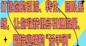 打造你的引流、转化、团队系统，让你收获很多引爆流量、翻倍业绩的“杀手锏”-淘淘网