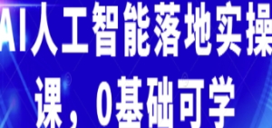 AI人工智能落地实操课，0基础可学-淘淘网