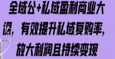 全域公+私域盈利商业大课，有效提升私域复购率，放大利润且持续变现-淘淘网